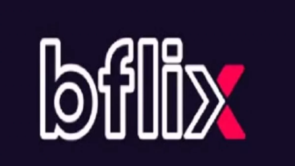 What is b flix?