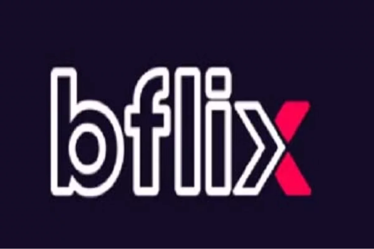 what-is-b-flix